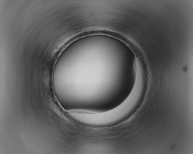 X0000116850969201001051503