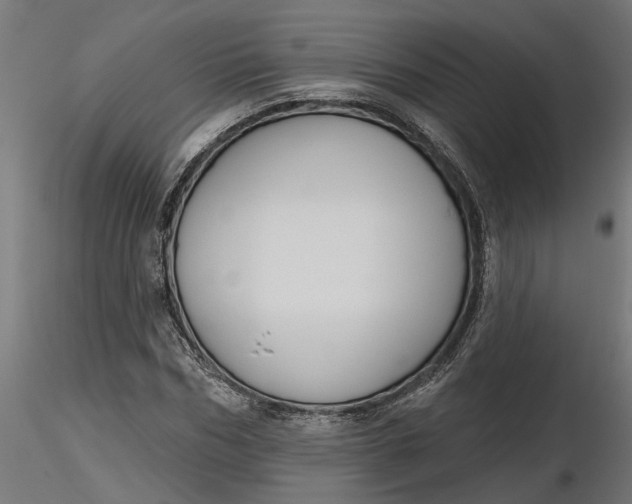 X0000116850970201001051503