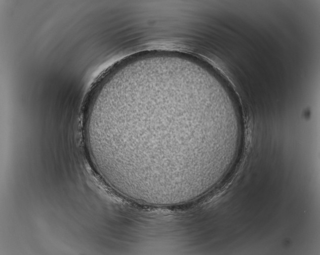 X0000116850971201001051503