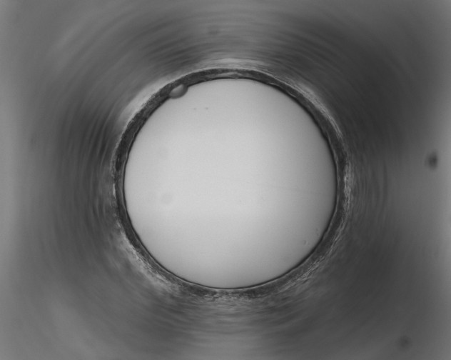 X0000116850972201001051503