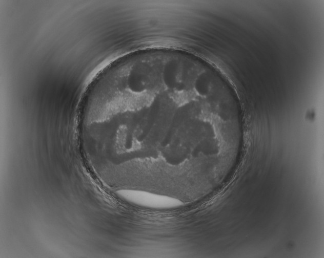 X0000116850975201001051502