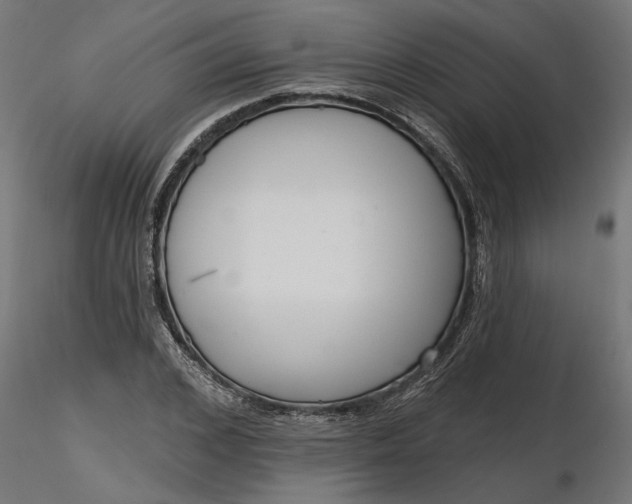 X0000116850976201001051502