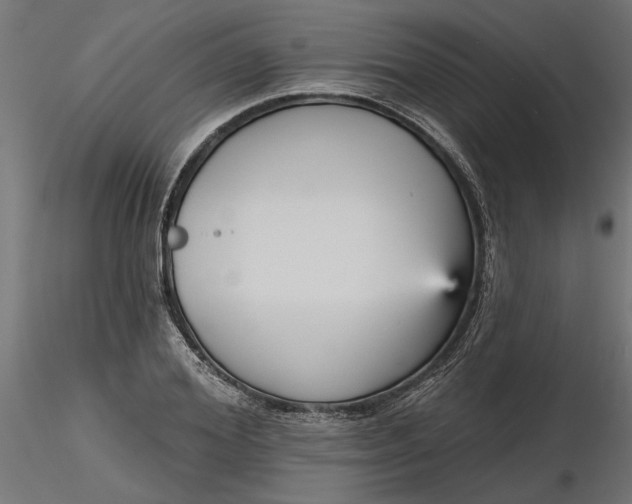 X0000116850980201001051502