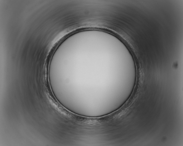 X0000116850982201001051502