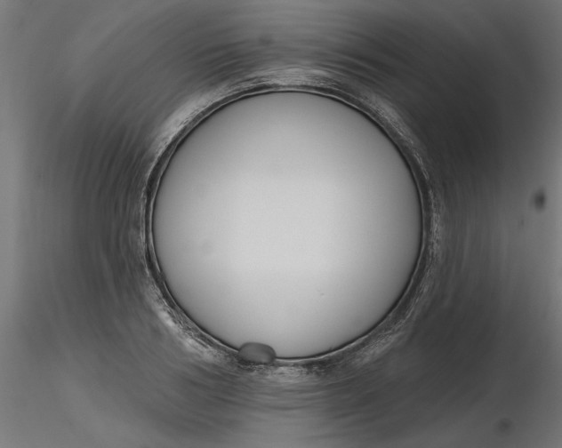 X0000116850986201001051502