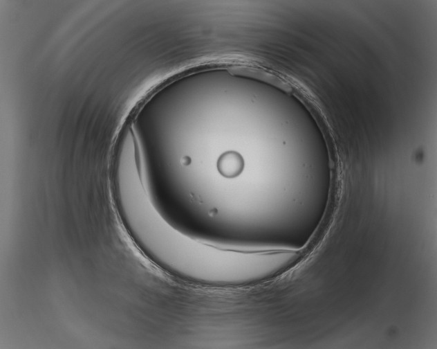 X0000116850989201001051502