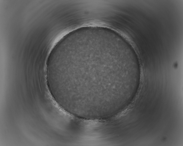 X0000116850990201001051502