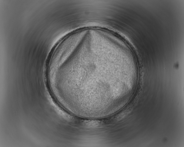 X0000116850991201001051502