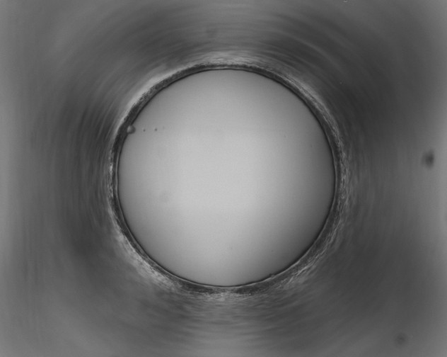 X0000116850992201001051502
