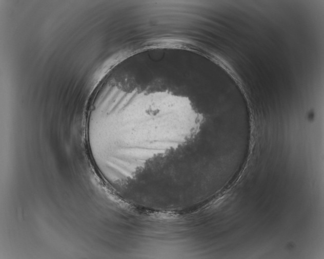 X0000116850994201001051502