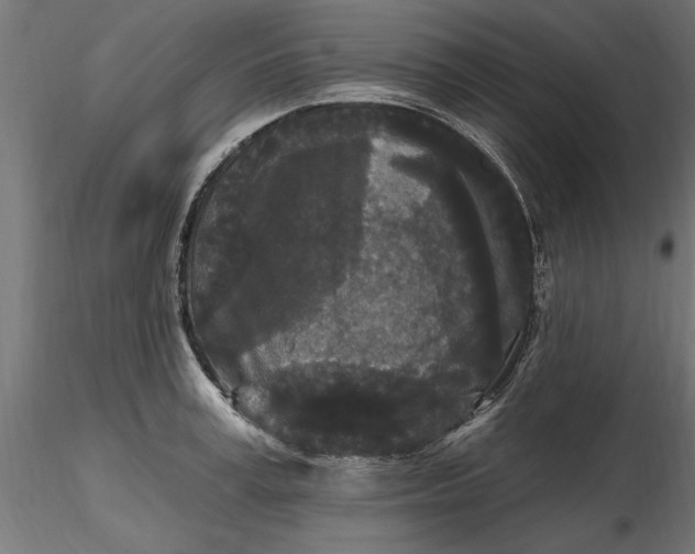 X0000116850995201001051502