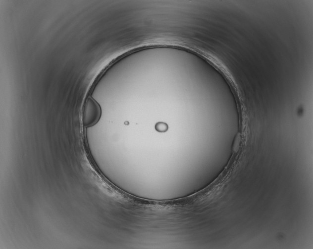 X0000116850996201001051502