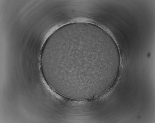 X0000116850997201001051502