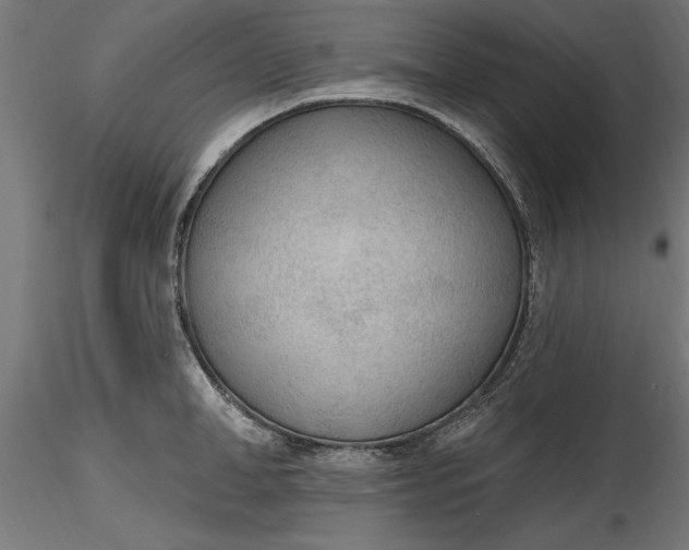 X0000116850998201001051502