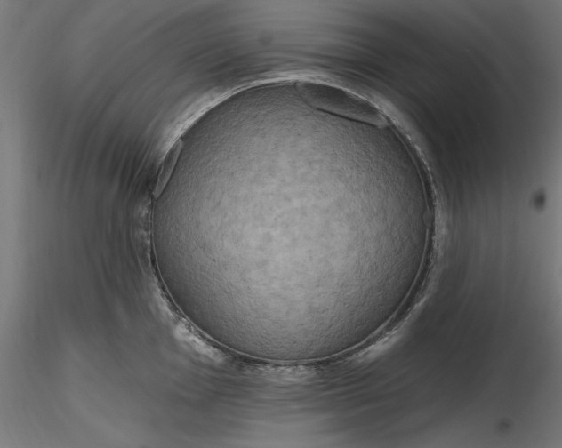 X0000116851001201001051502