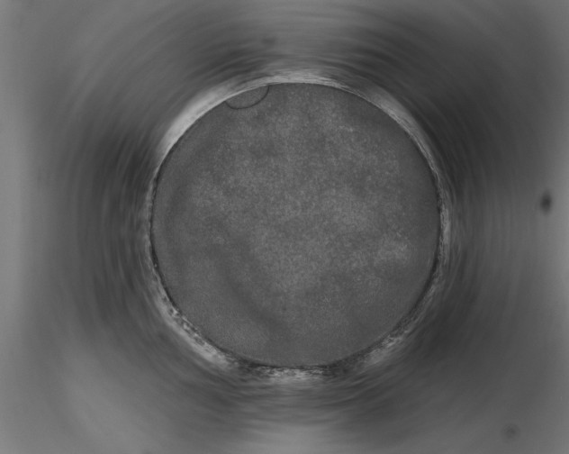X0000116851002201001051502