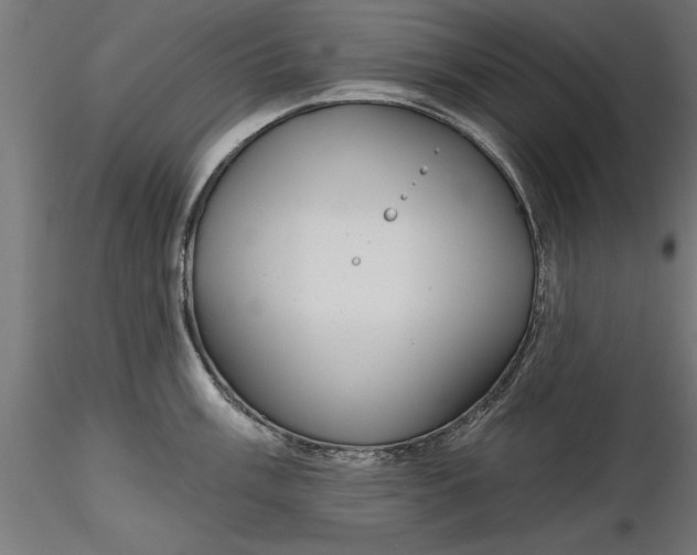 X0000116851003201001051502