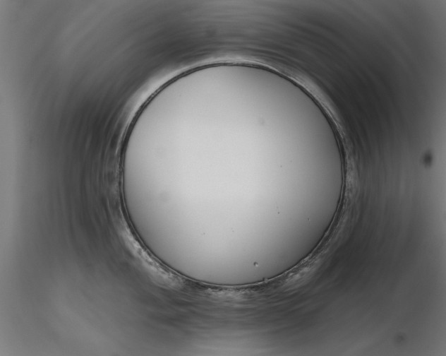 X0000116851004201001051502