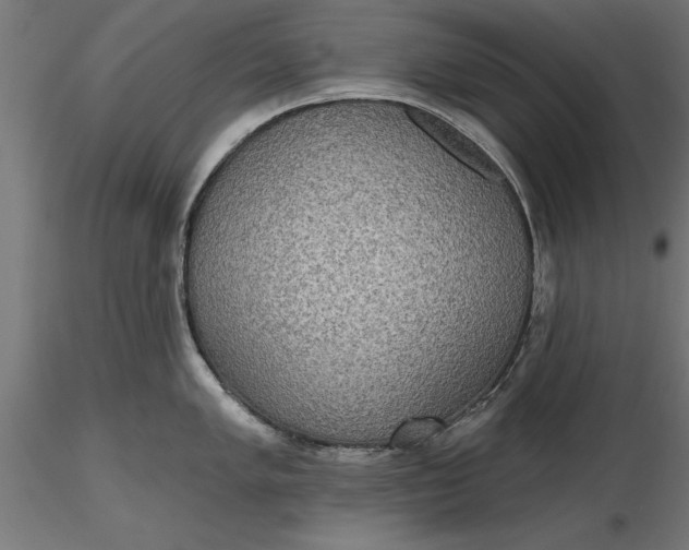 X0000116851005201001051502