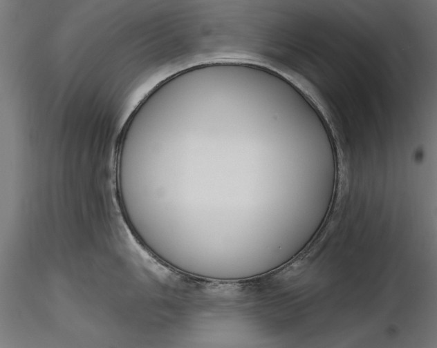 X0000116851006201001051502