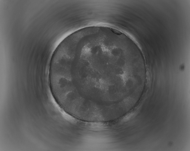 X0000116851007201001051502
