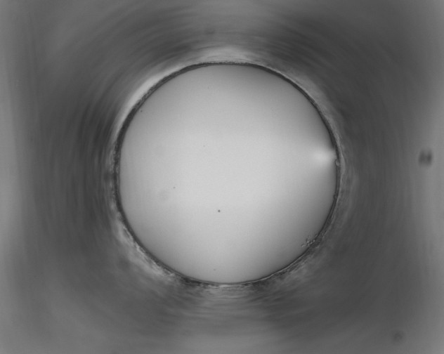 X0000116851008201001051502