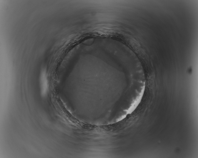 X0000116851009201001051501