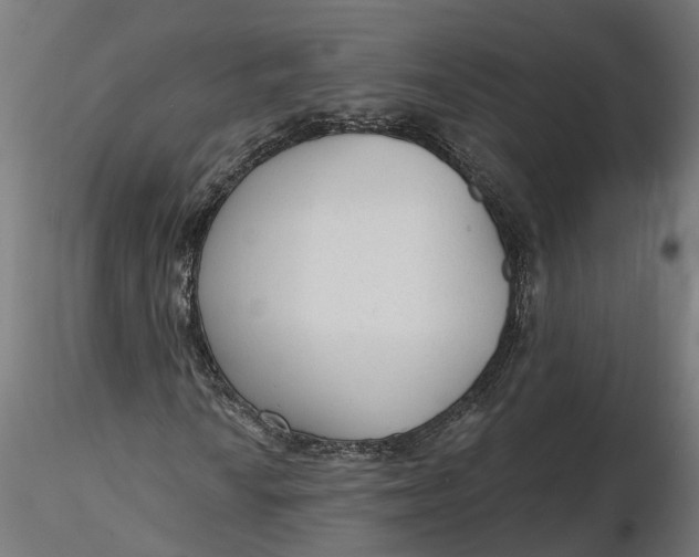 X0000116851010201001051501