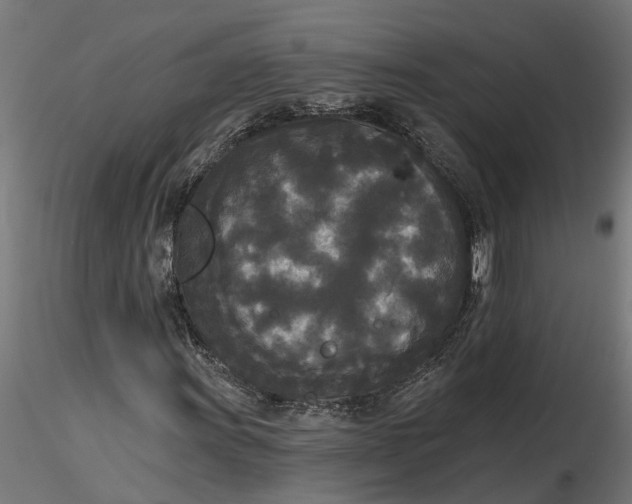 X0000116851011201001051501