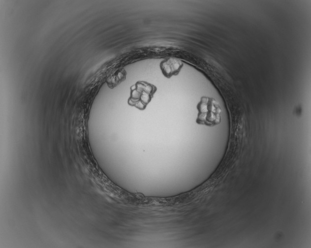 X0000116851014201001051501