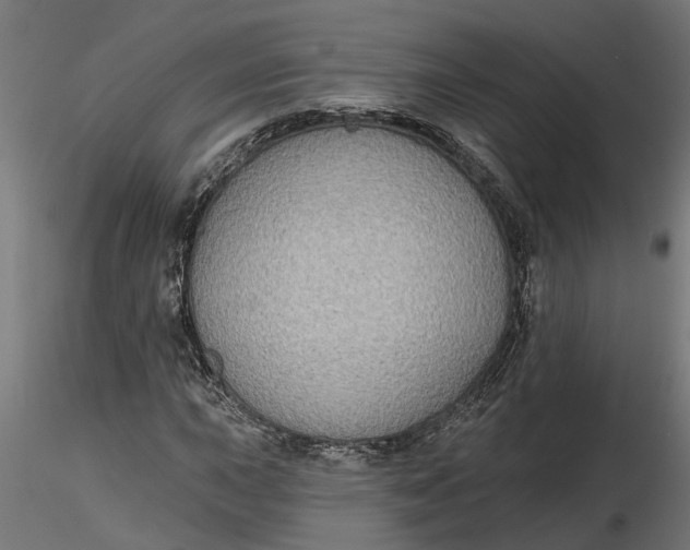 X0000116851015201001051501