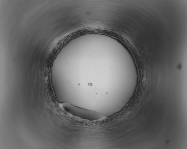 X0000116851016201001051501