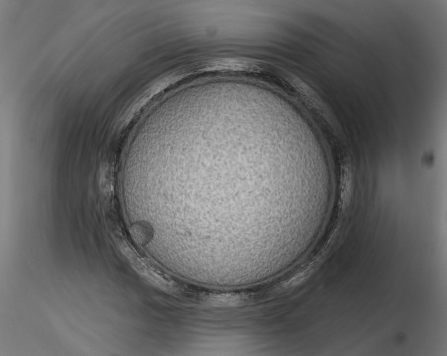 X0000116851017201001051501
