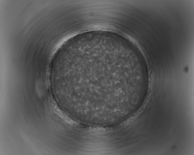 X0000116851019201001051501