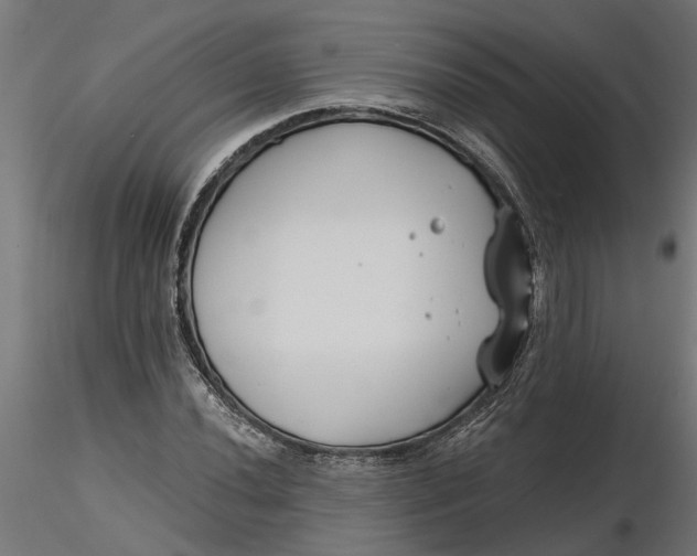 X0000116851020201001051502