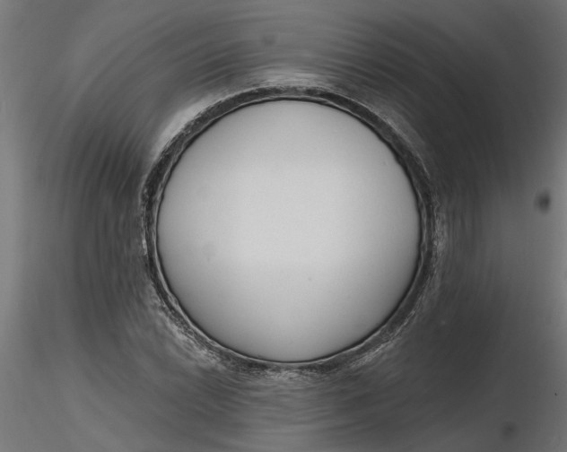 X0000116851022201001051502