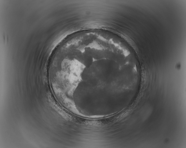 X0000116851023201001051502
