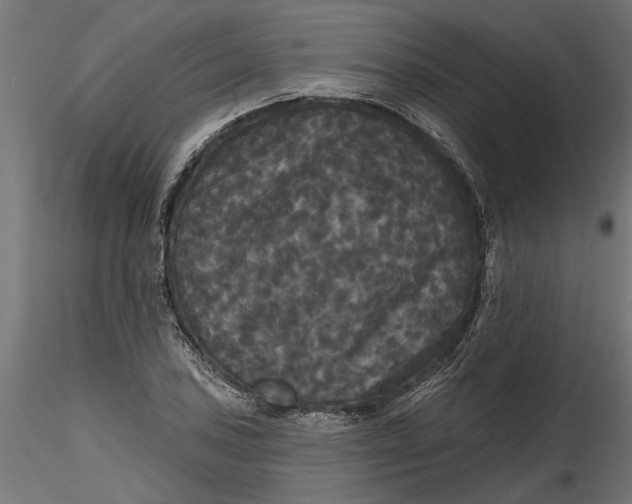 X0000116851027201001051502