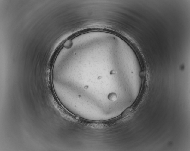 X0000116851029201001051502