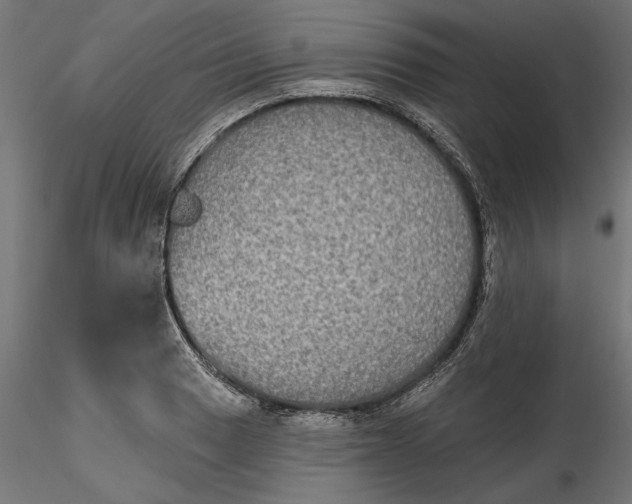 X0000116851033201001051502