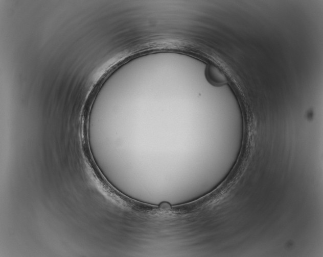 X0000116851034201001051502