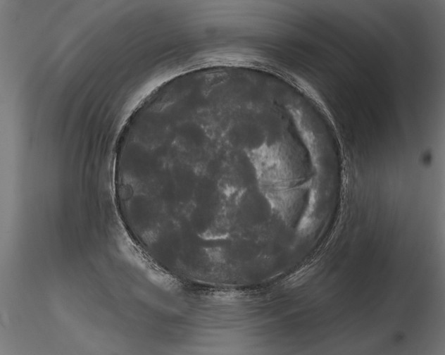 X0000116851035201001051502