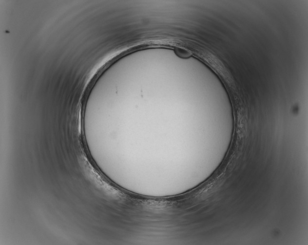 X0000116851036201001051502