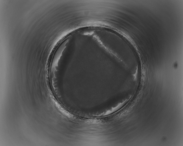 X0000116851037201001051502