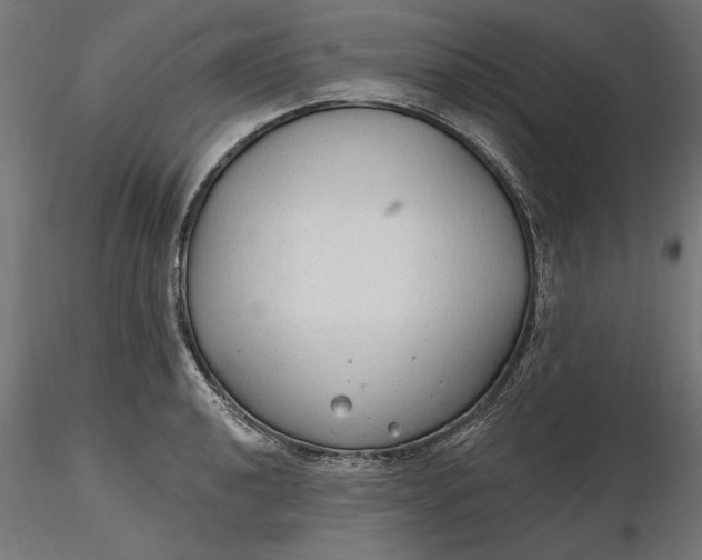 X0000116851040201001051502