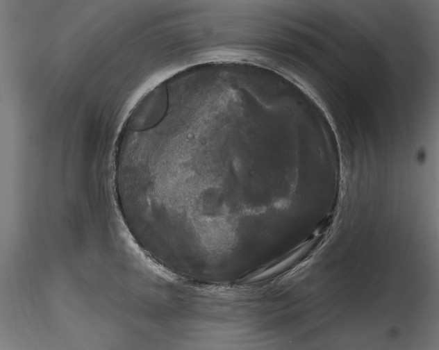 X0000116851045201001051502