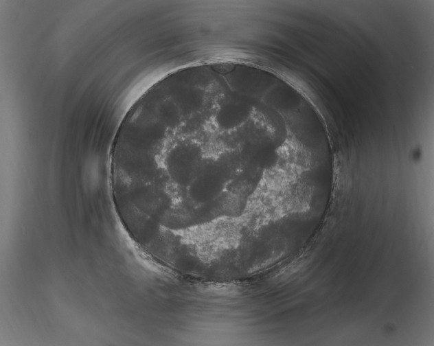 X0000116851047201001051502