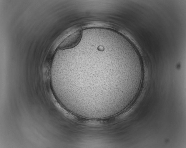 X0000116851049201001051502