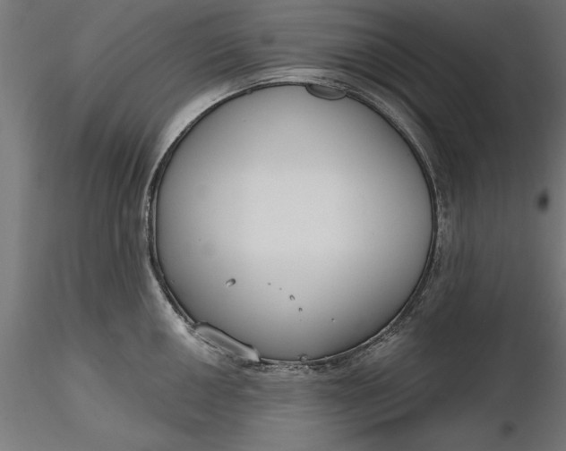 X0000116851050201001051502