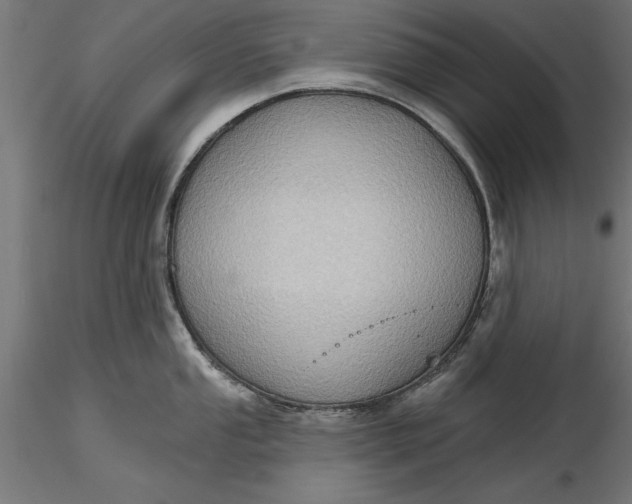 X0000116851053201001051502